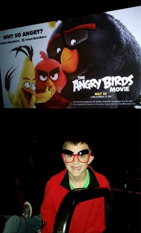 the angry birds movie review