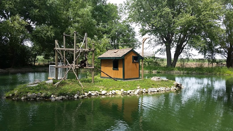 african safari Wildlife park sandusky ohio 2