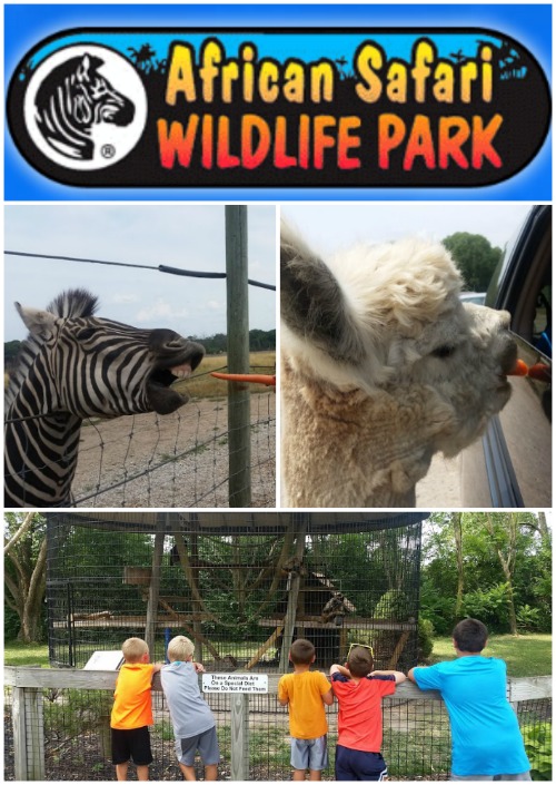 Our Day at African Safari Wildlife Park, Port Clinton, Ohio ~ Review