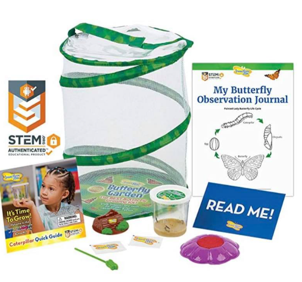 Butterfly Habitat Watch Them Grow 