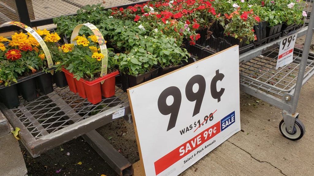99¢ Annual Flowers 6Pack at Lowe’s